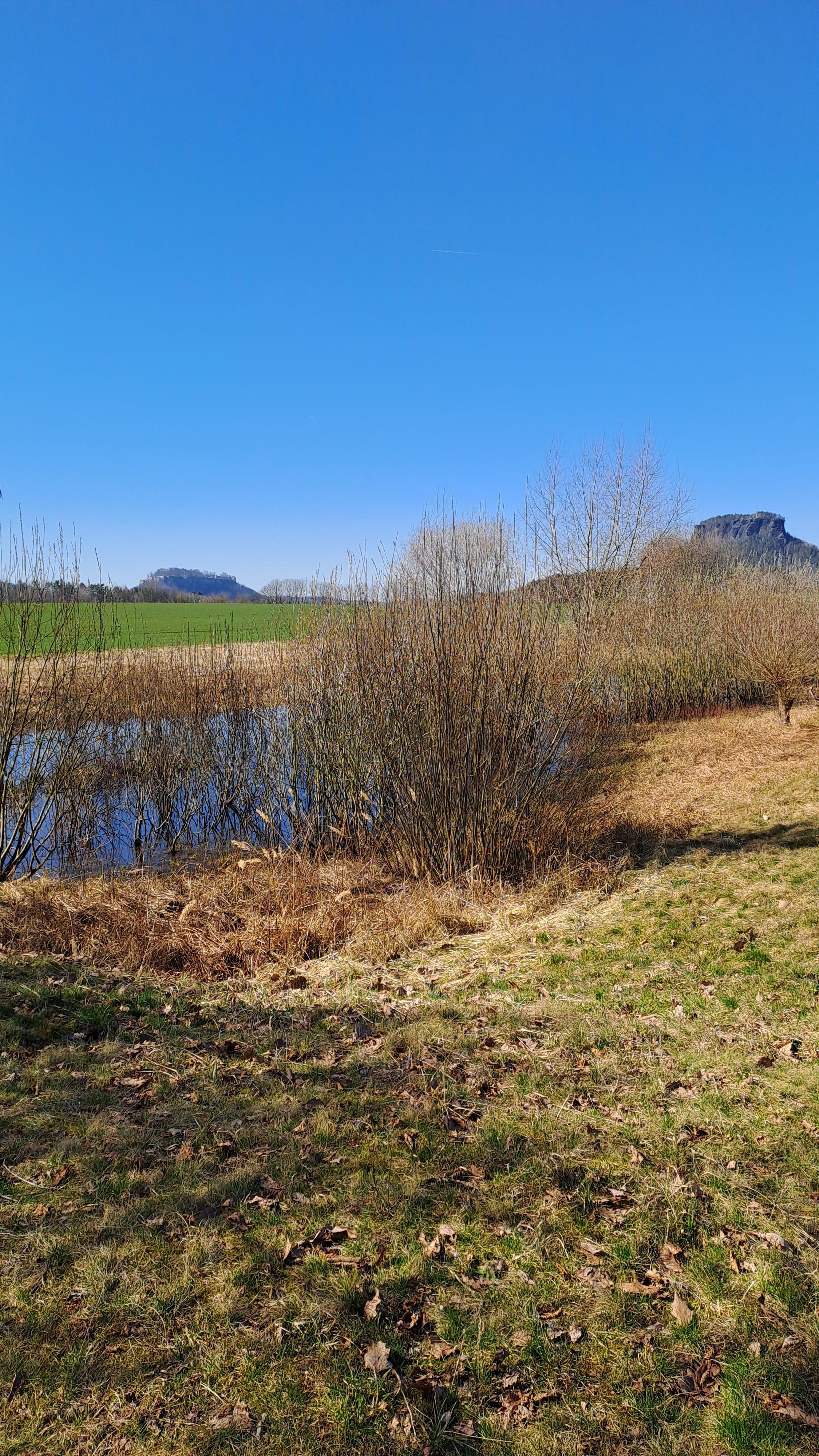 Blick zum Lilienstein vom Gohrischer Rundweg