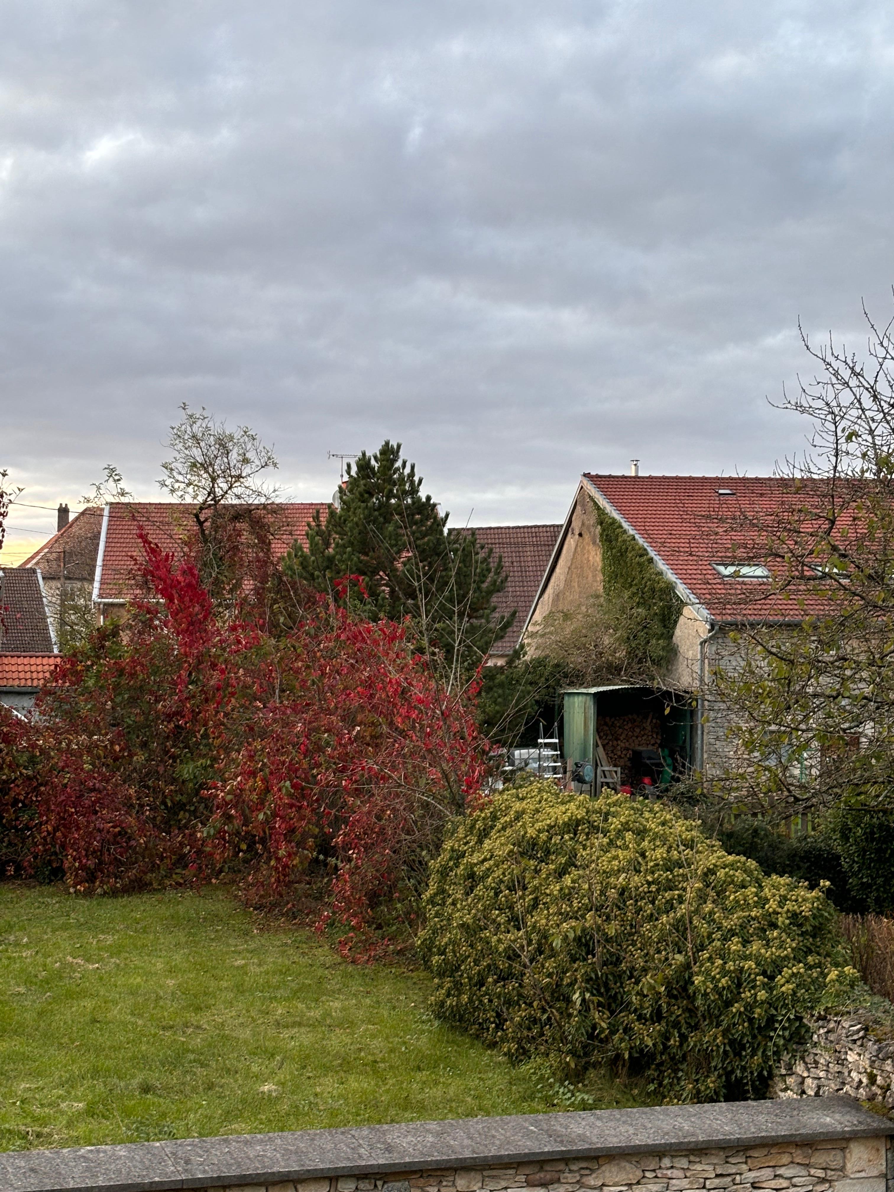 Blick aus dem Fenster