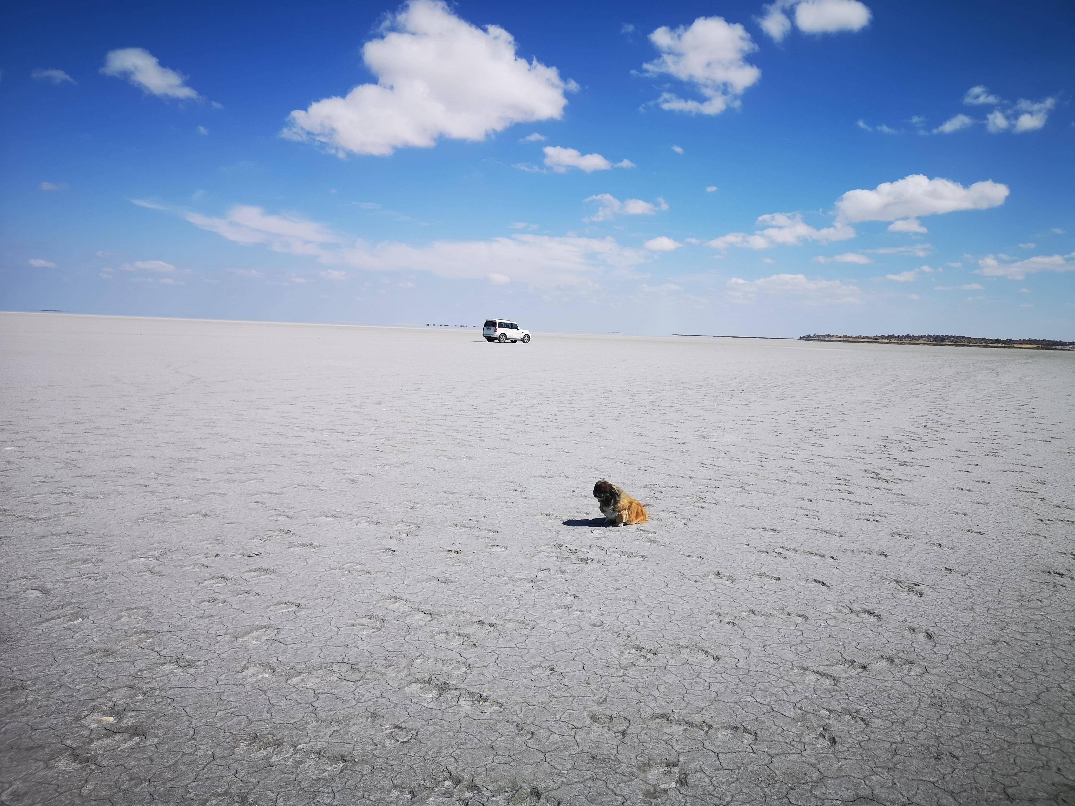 Nearby Makgadikgadi and. Hip