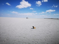Nearby Makgadikgadi and. Hip