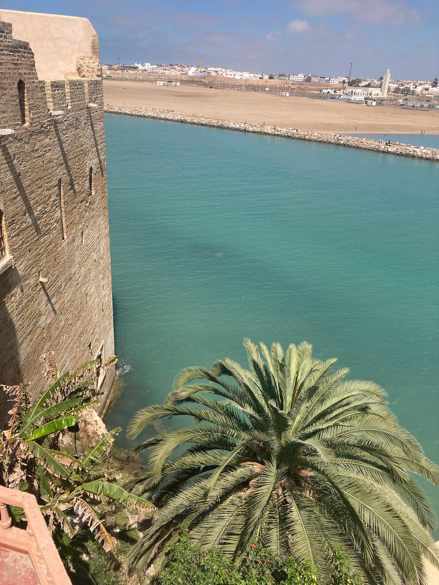 view from shared terrace