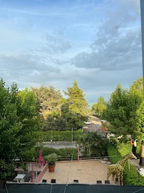 Out our window... notice the giraffe 🦒