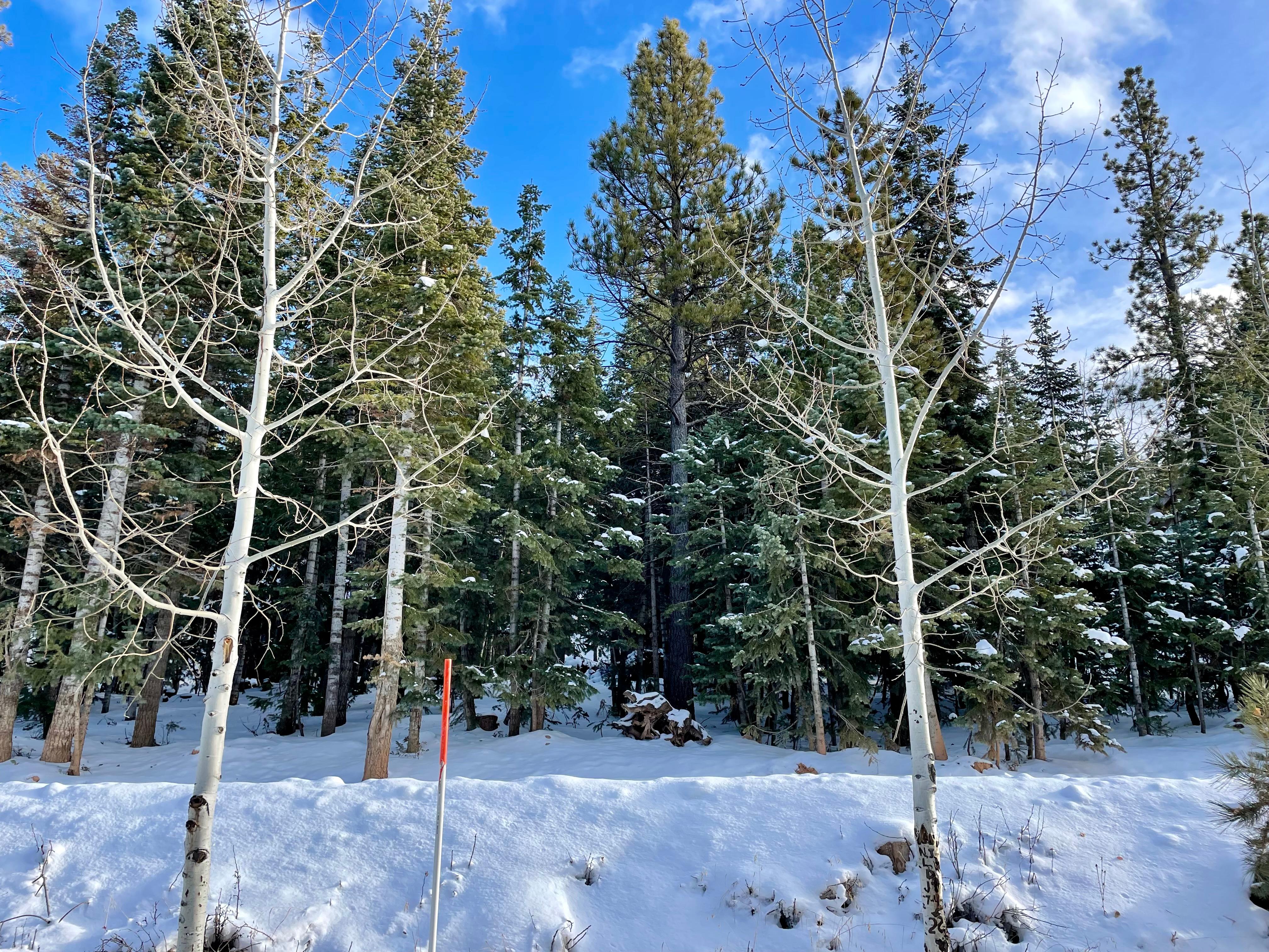 View from the front door