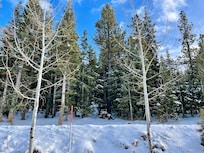 View from the front door