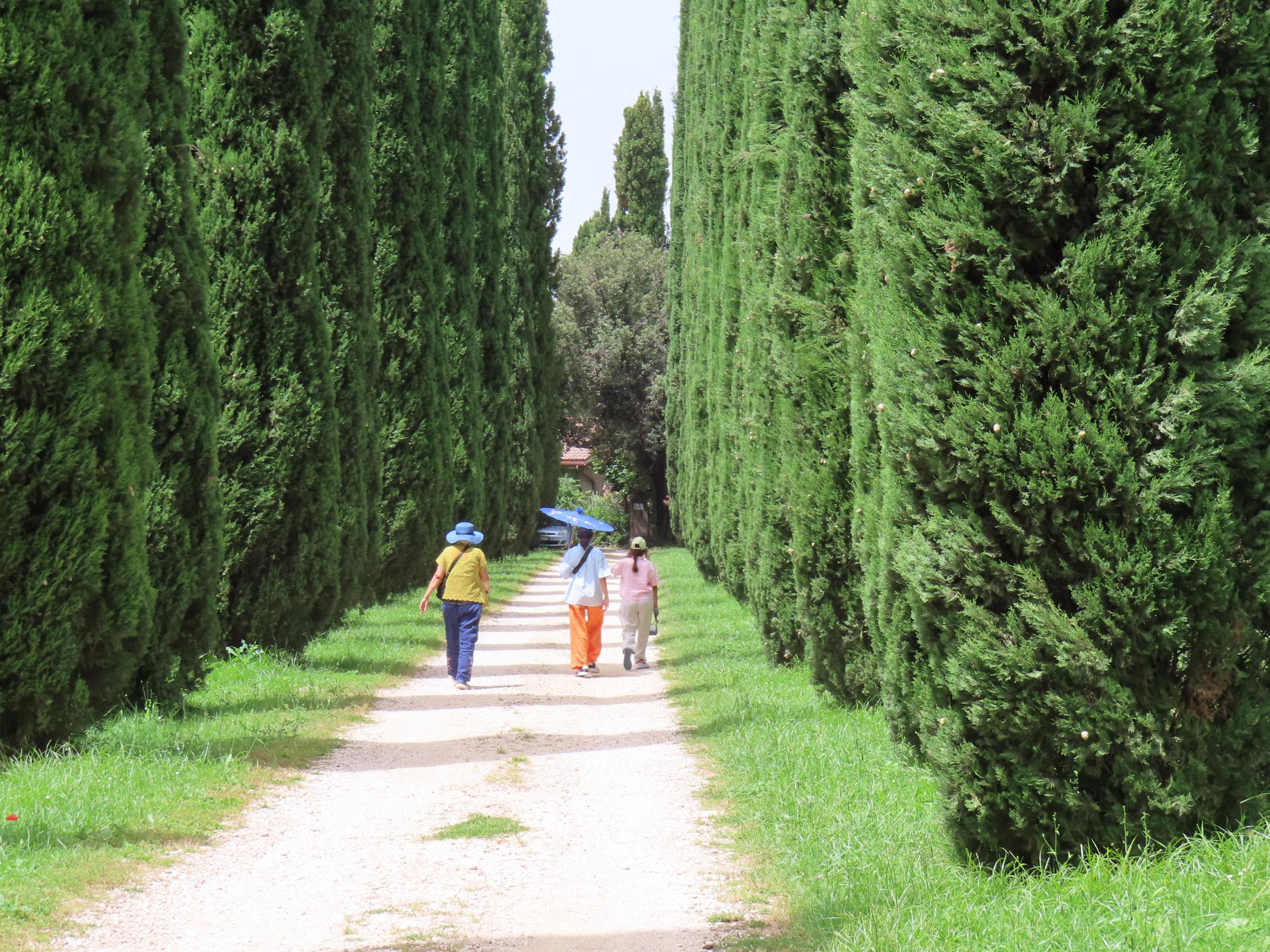 Approach to the house