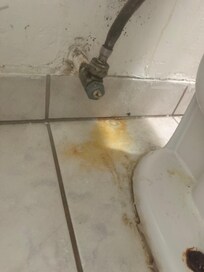 Leaking toilets all night