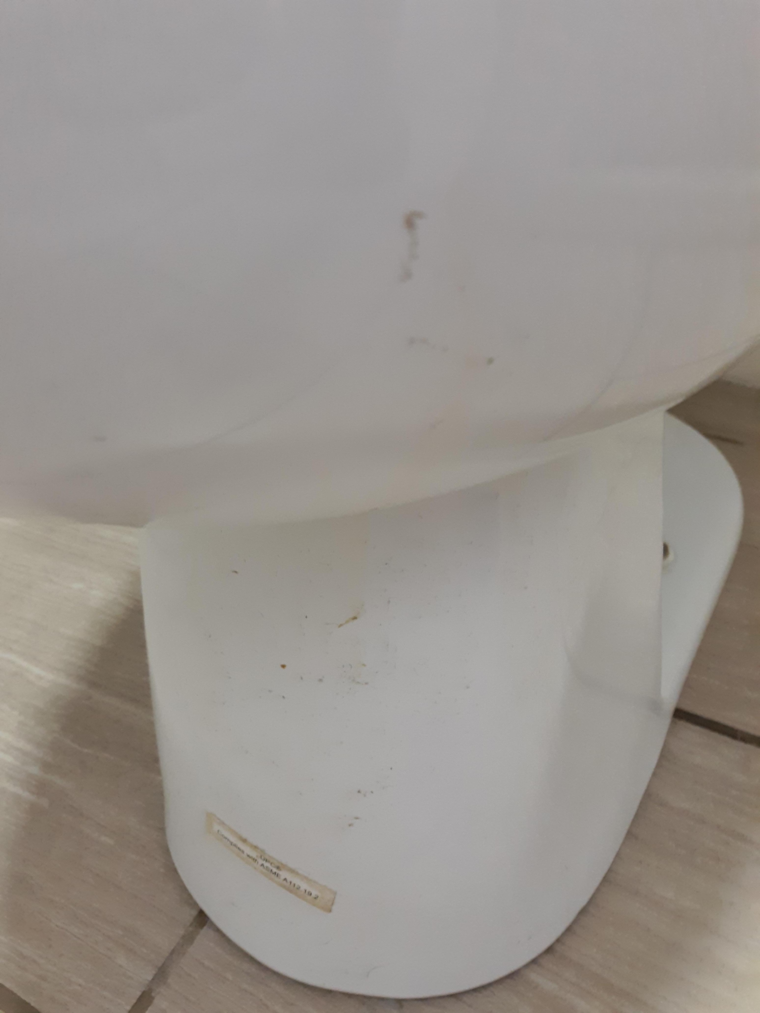 Toliet discusting 
Has not been cleaned