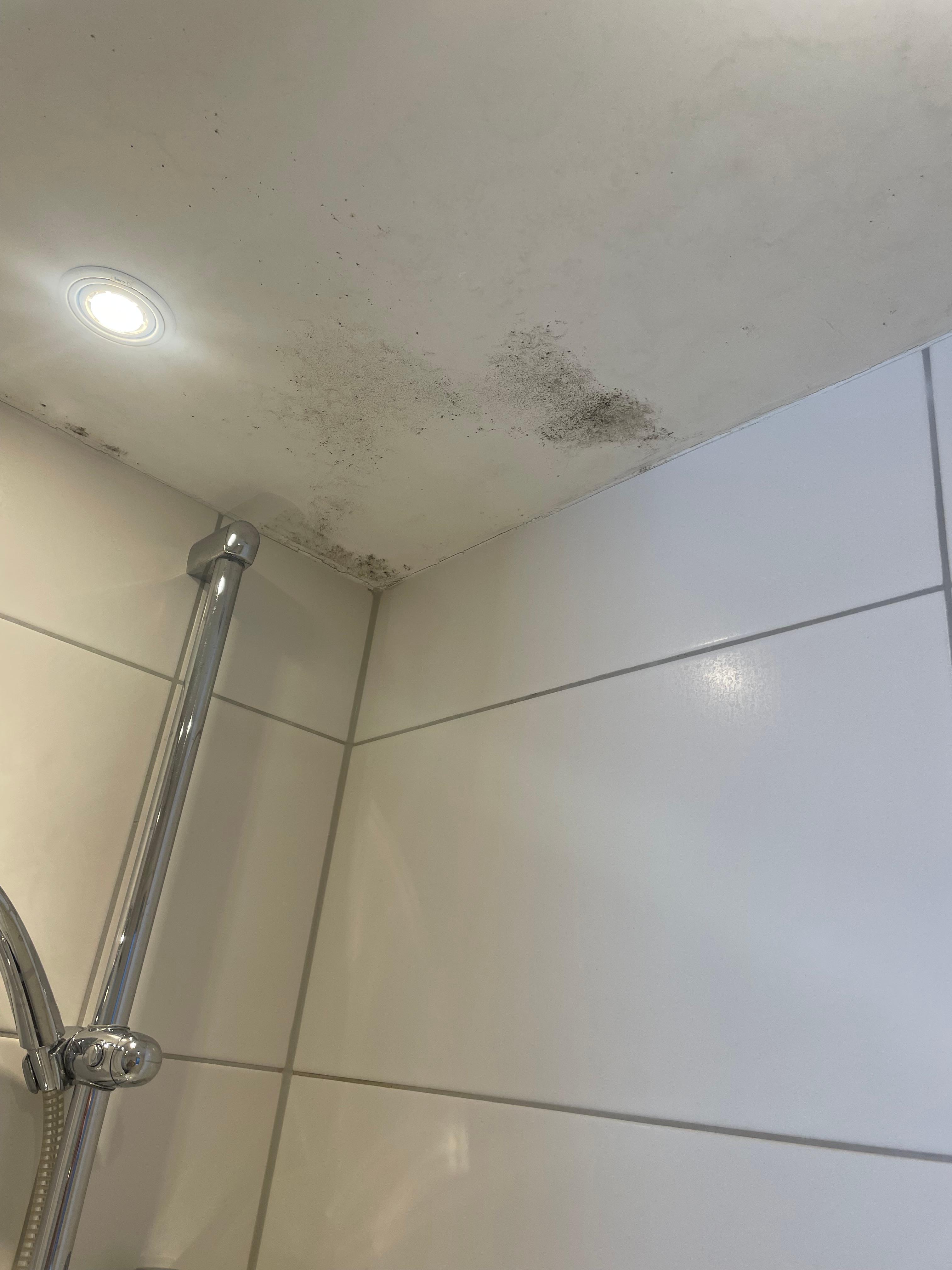 Mold on shower