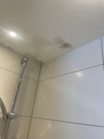 Mold on shower