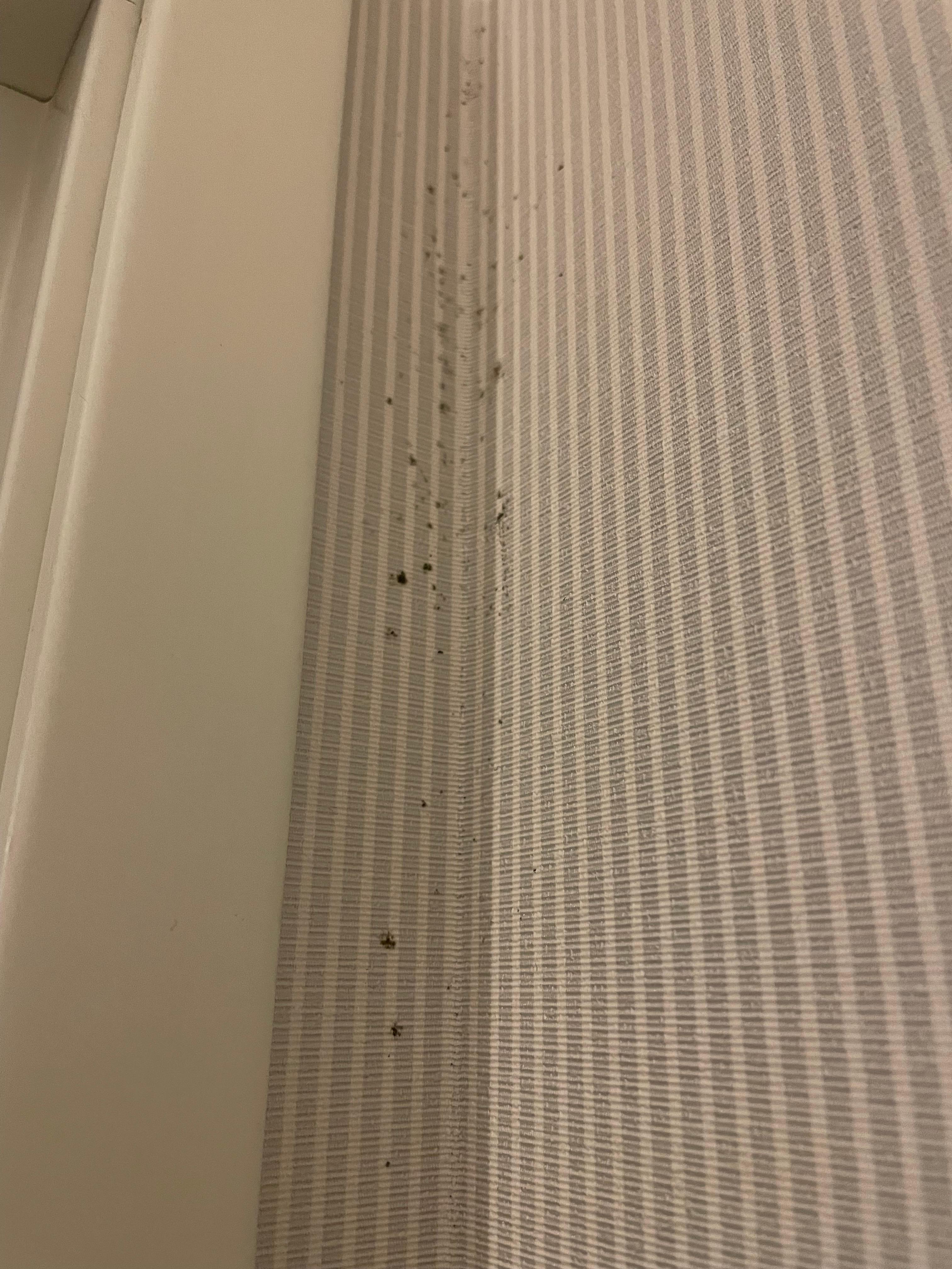 Mold in the bathroom 