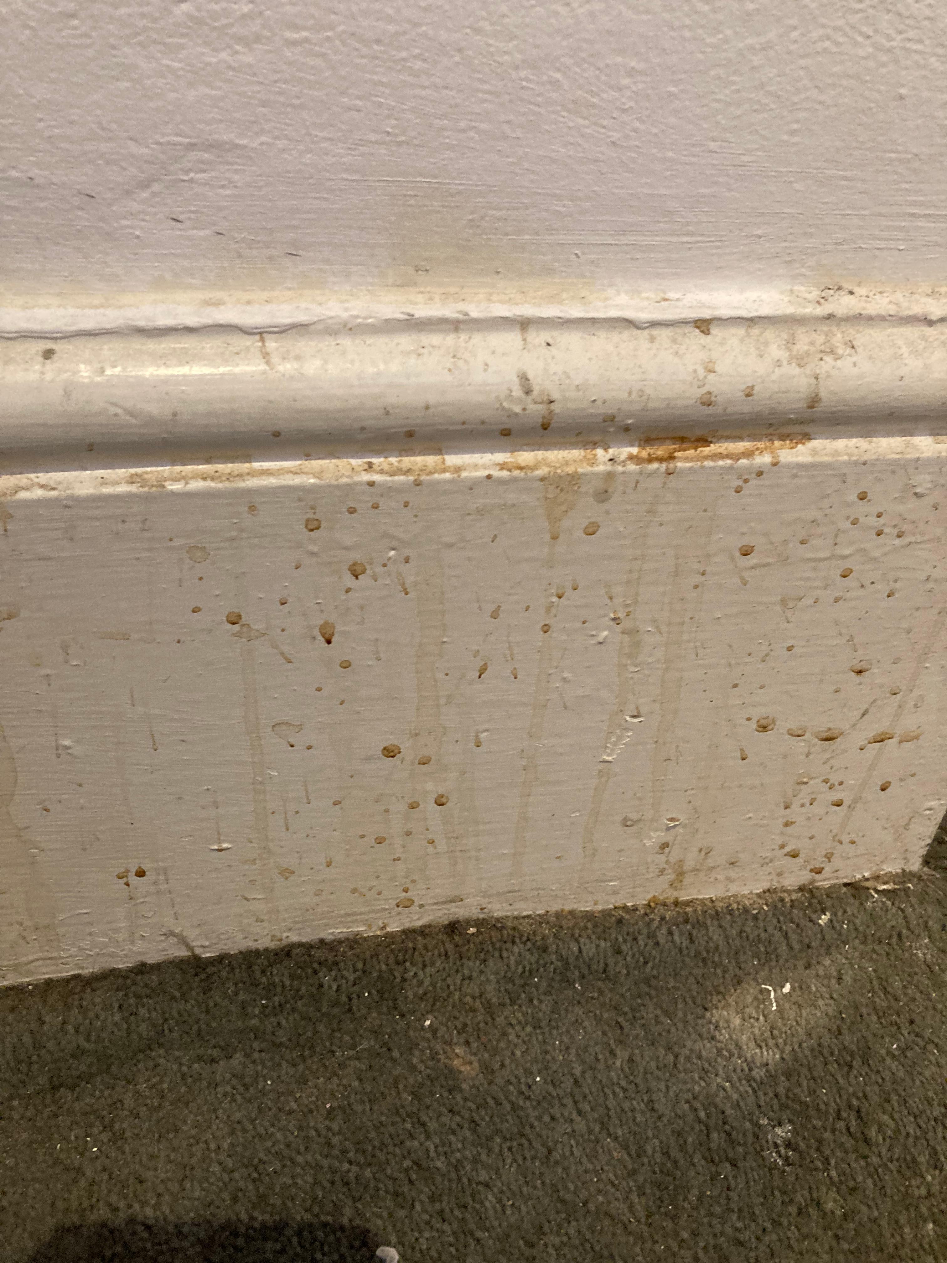 State of the skirting board