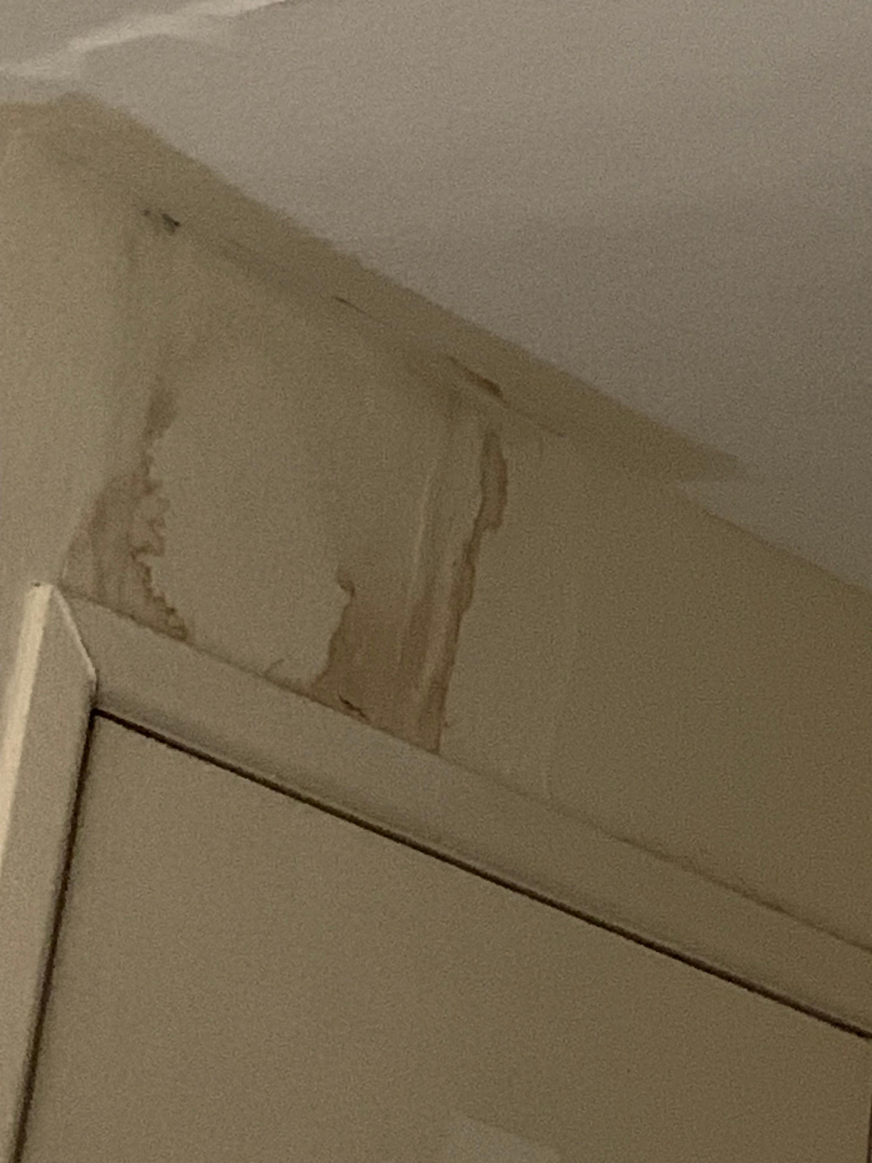 Above entry door in room