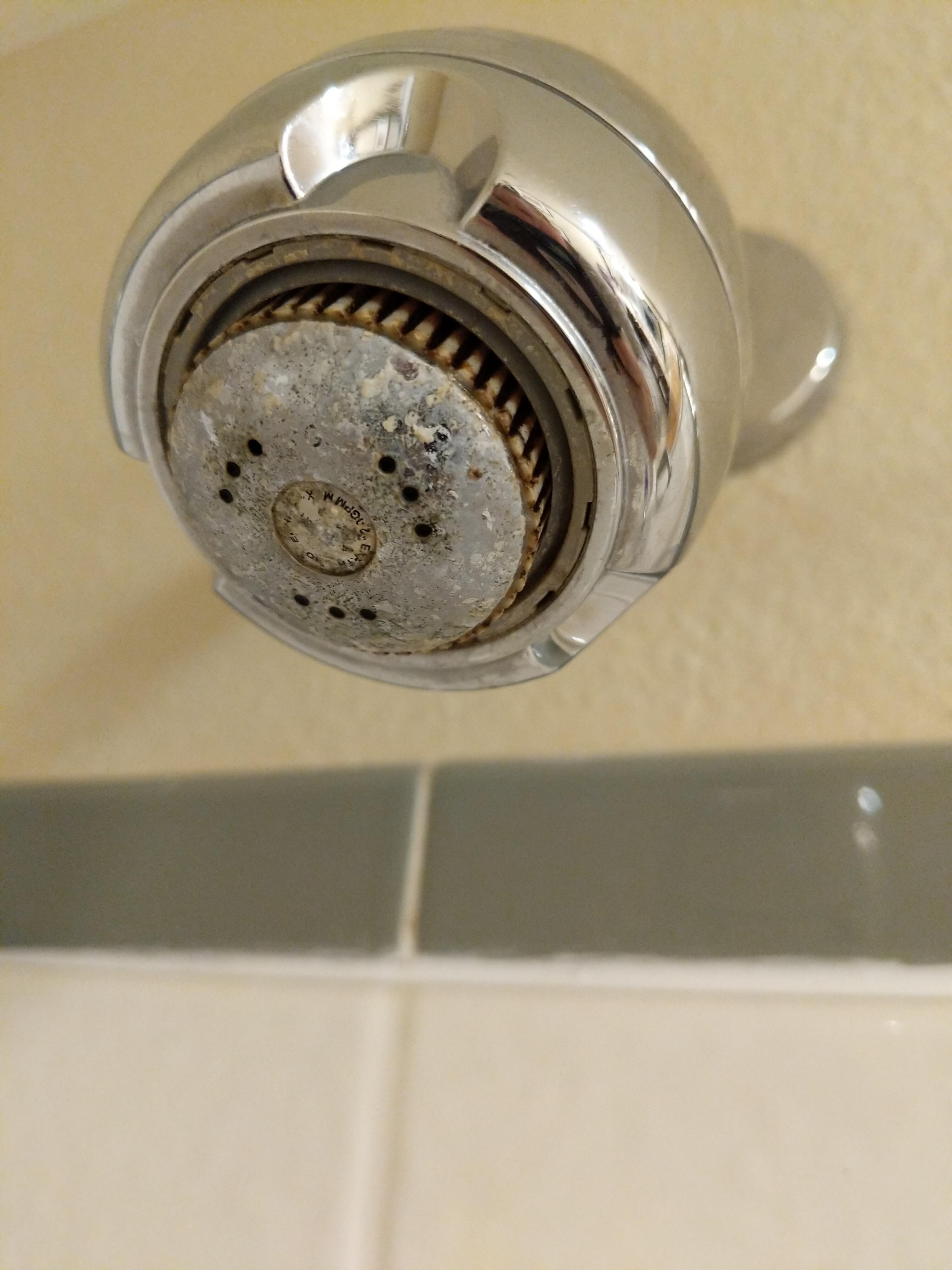 Rusted/old shower head