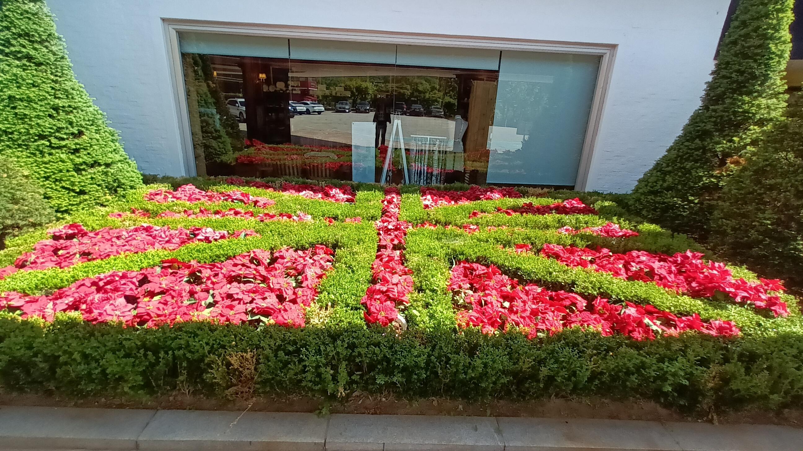 Union Jack flower bed