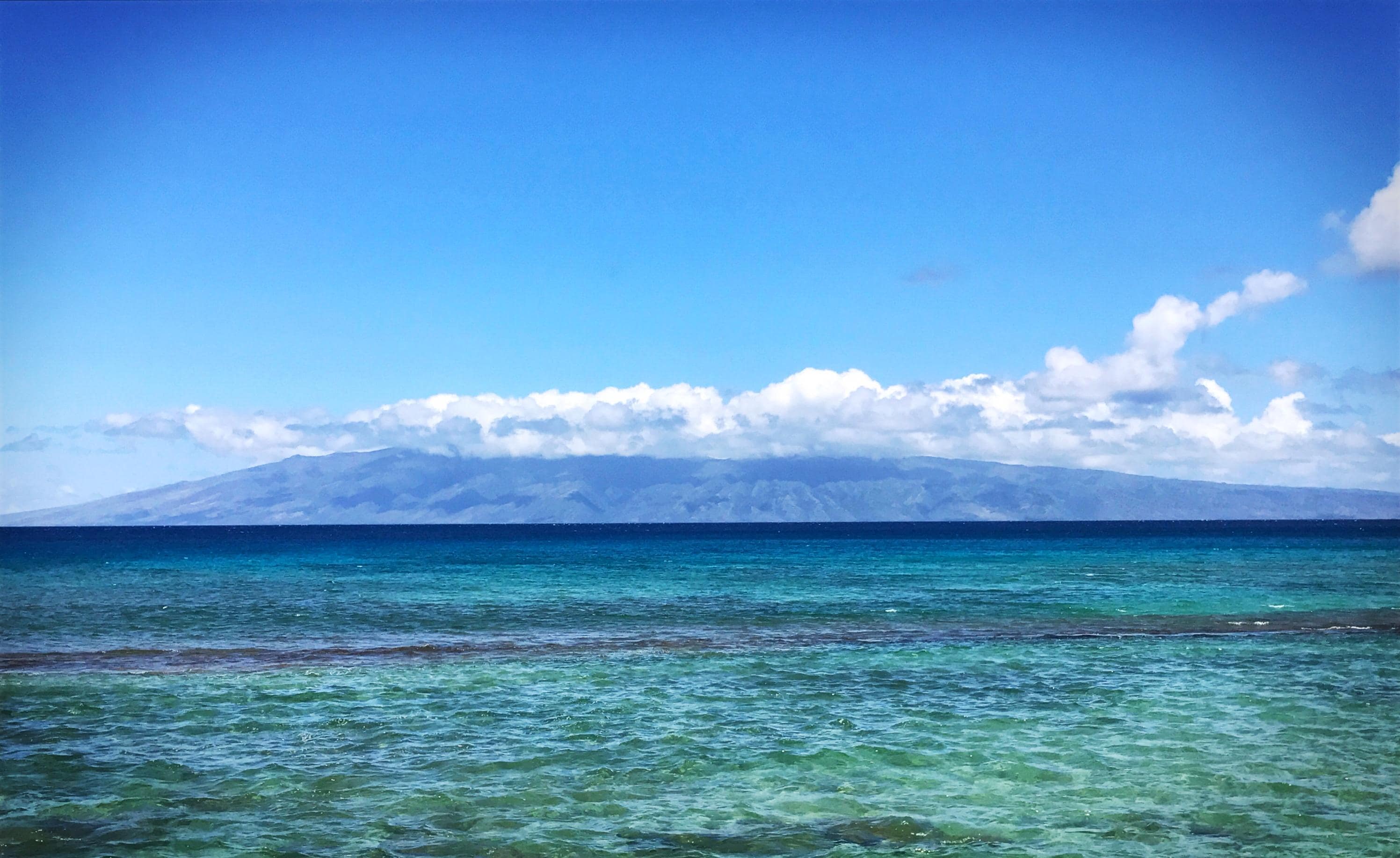 view of the ocean
