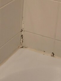 Baignoire sans bonde