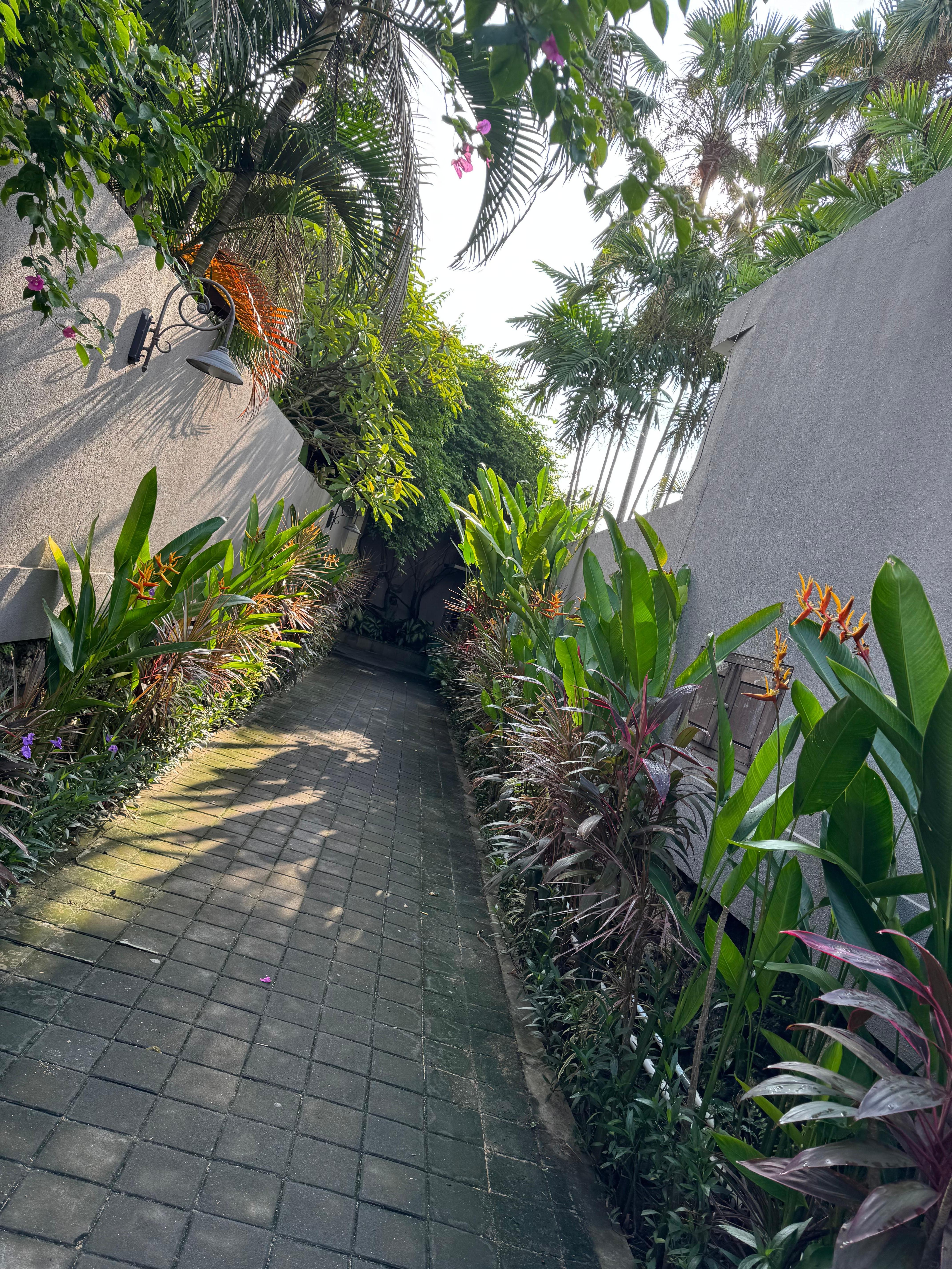 Laneway to beach