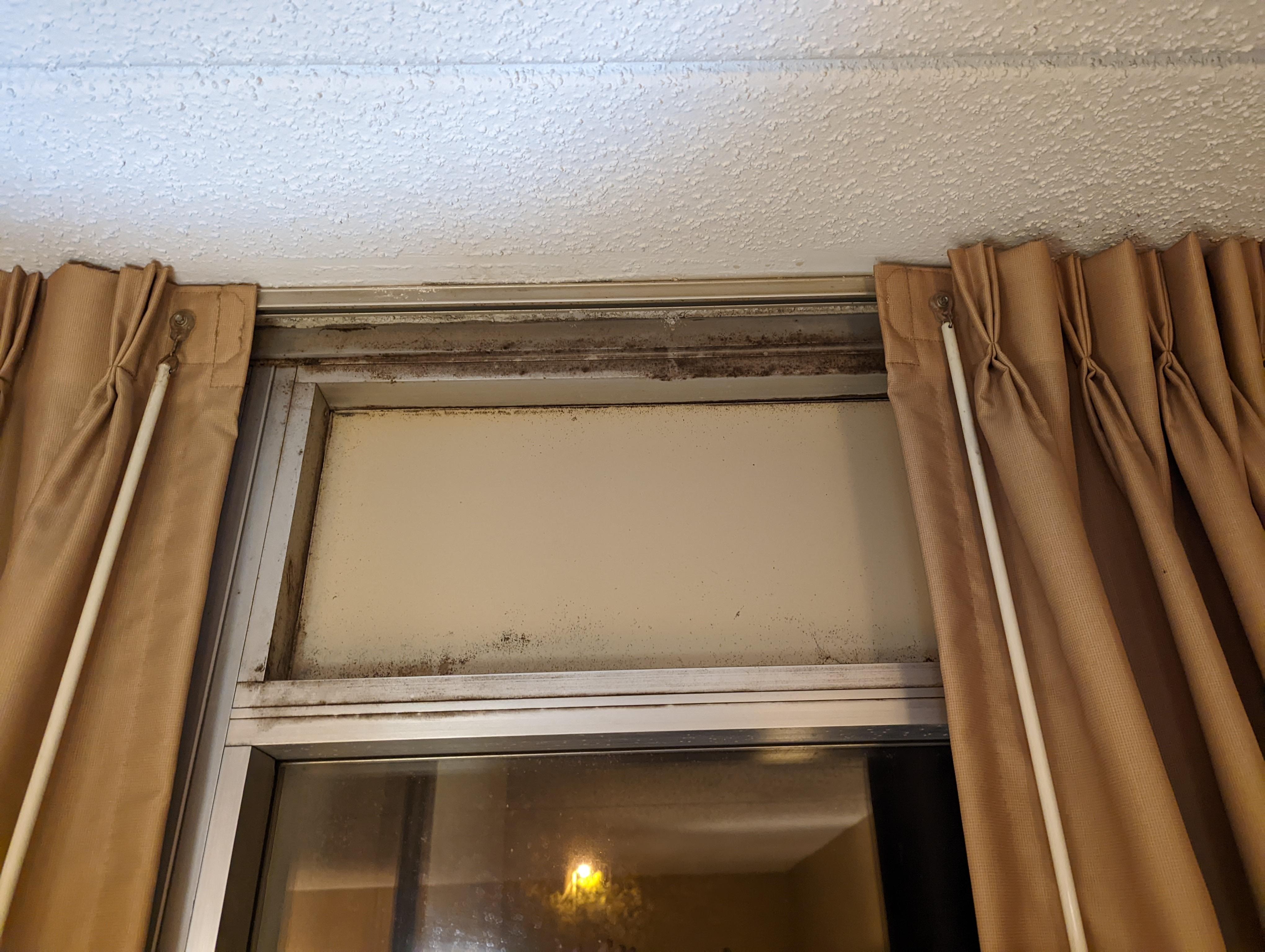 Mold above window