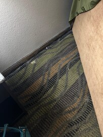 Behind sofa - where roaches live