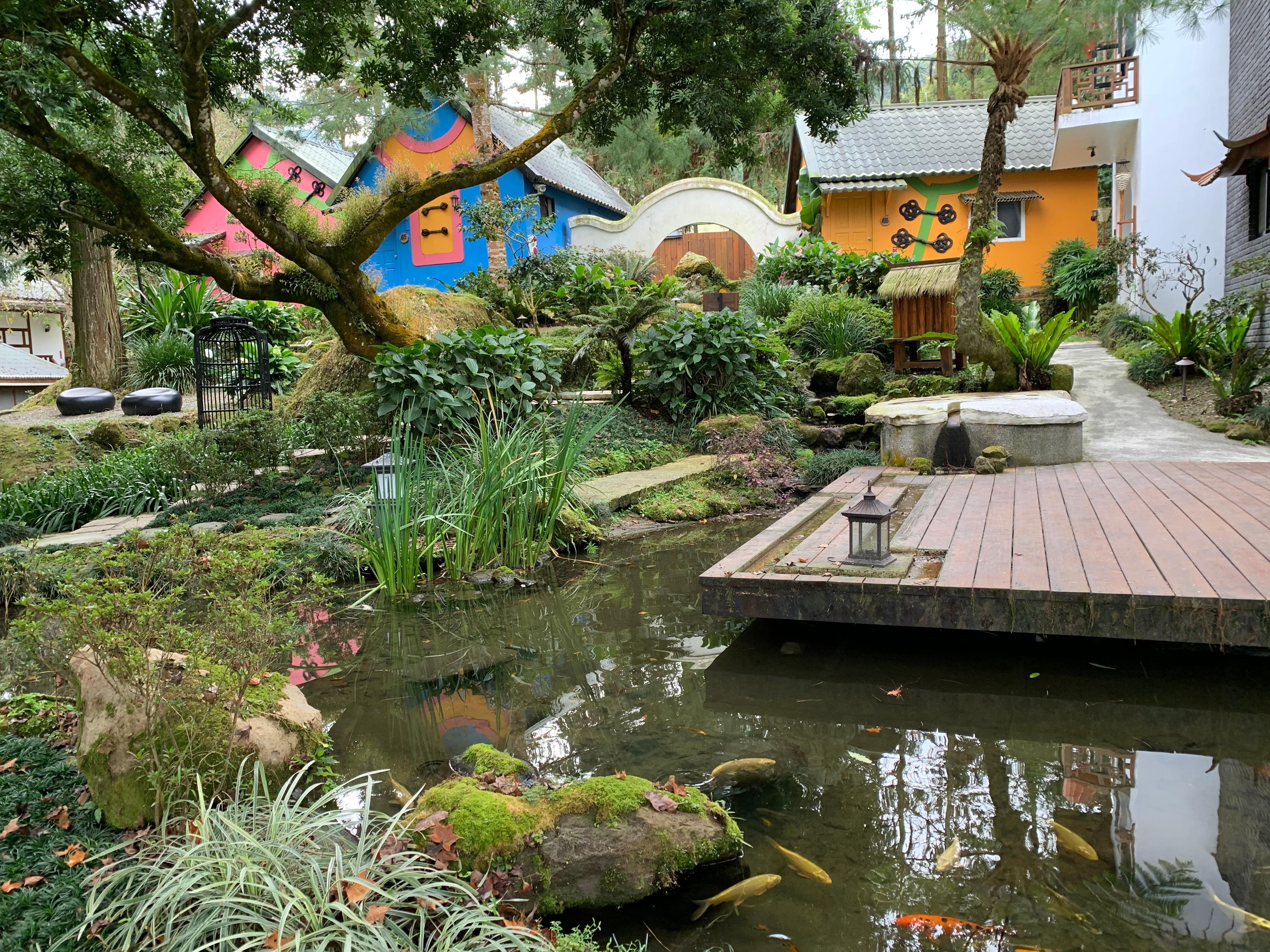 流水、魚群和幽雅古風設計的庭園