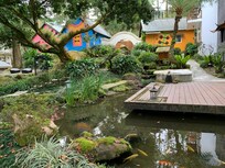 流水、魚群和幽雅古風設計的庭園