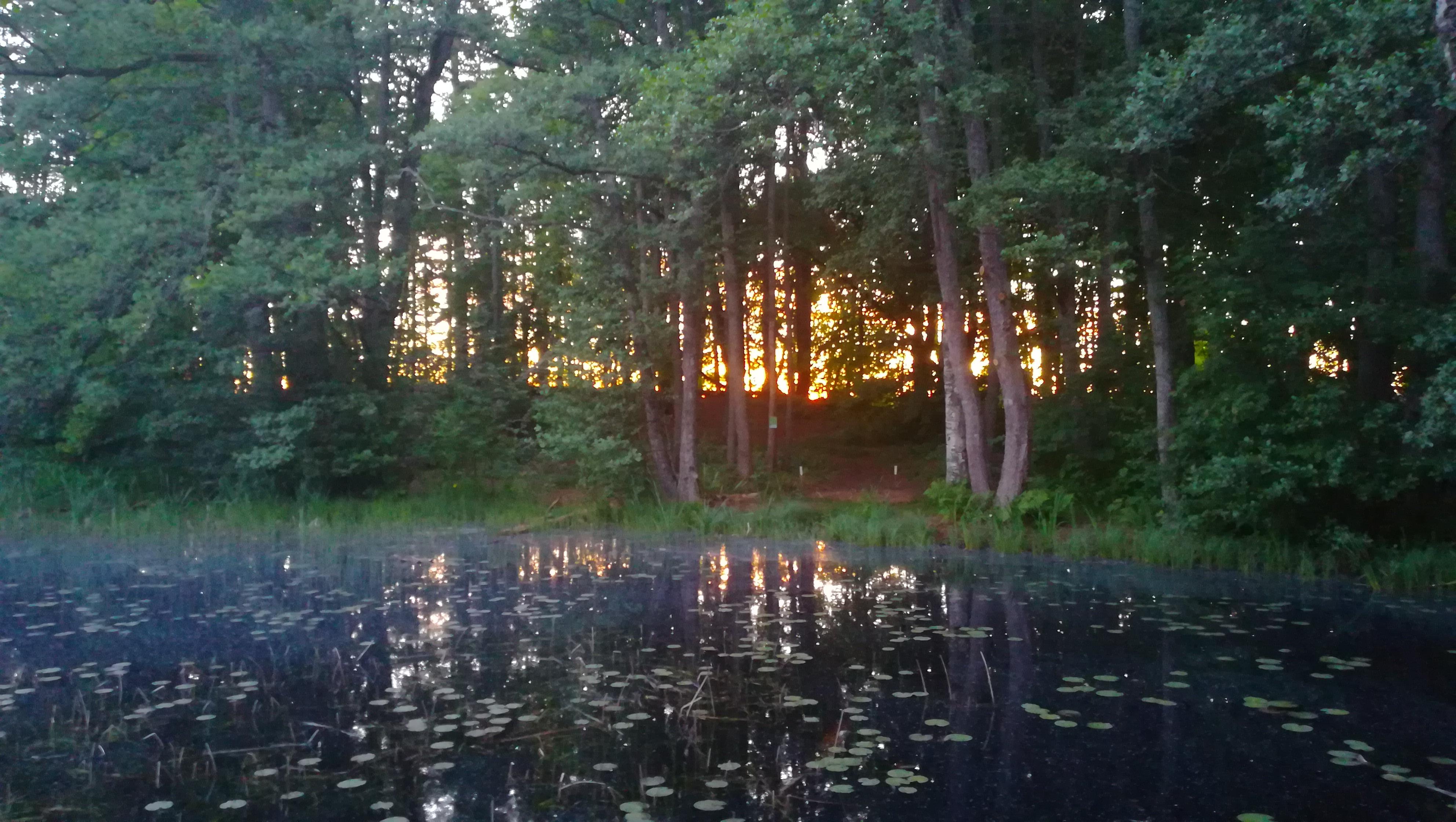 The magic lake on the grounds 