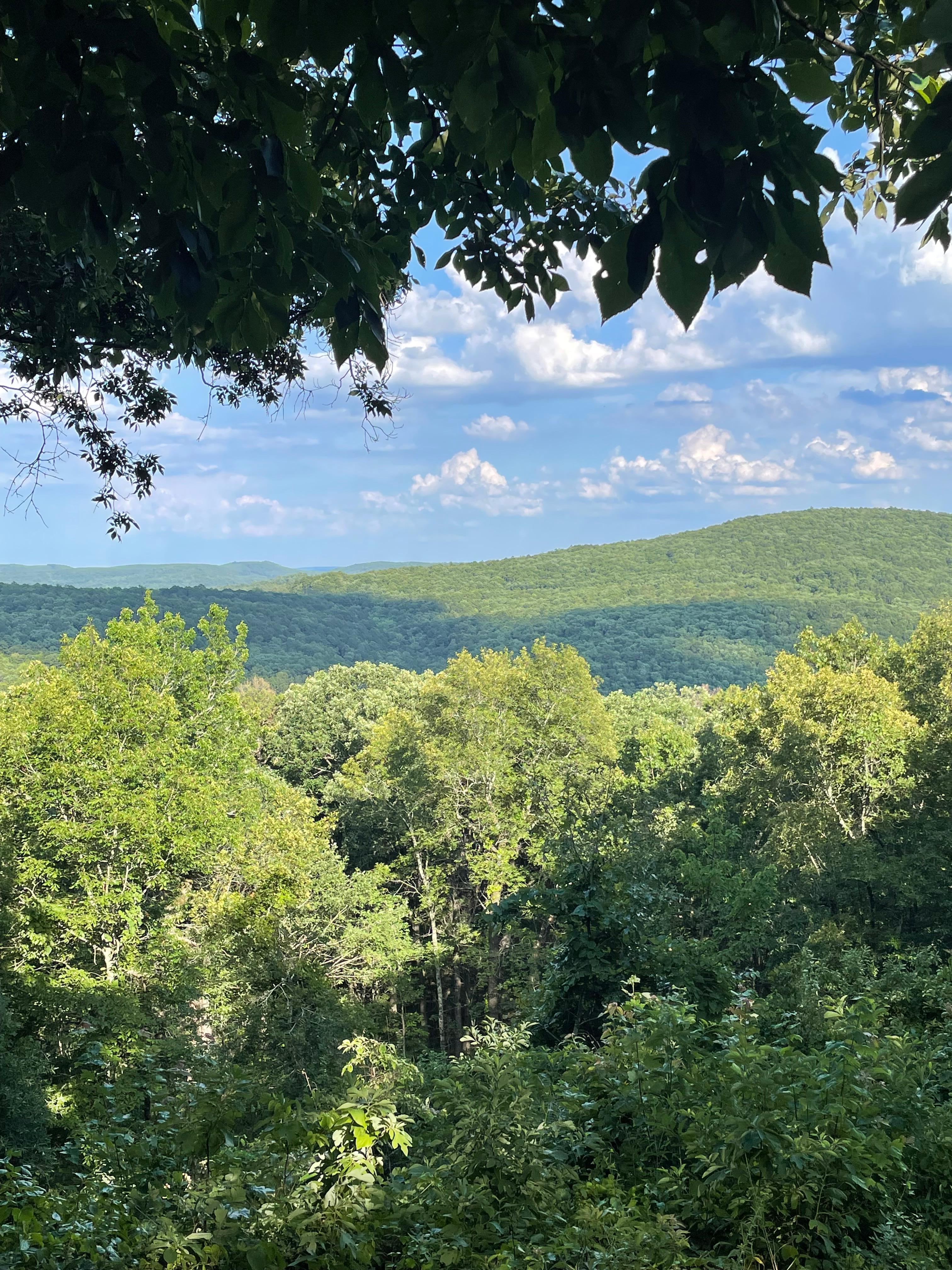 View from the cabins. 