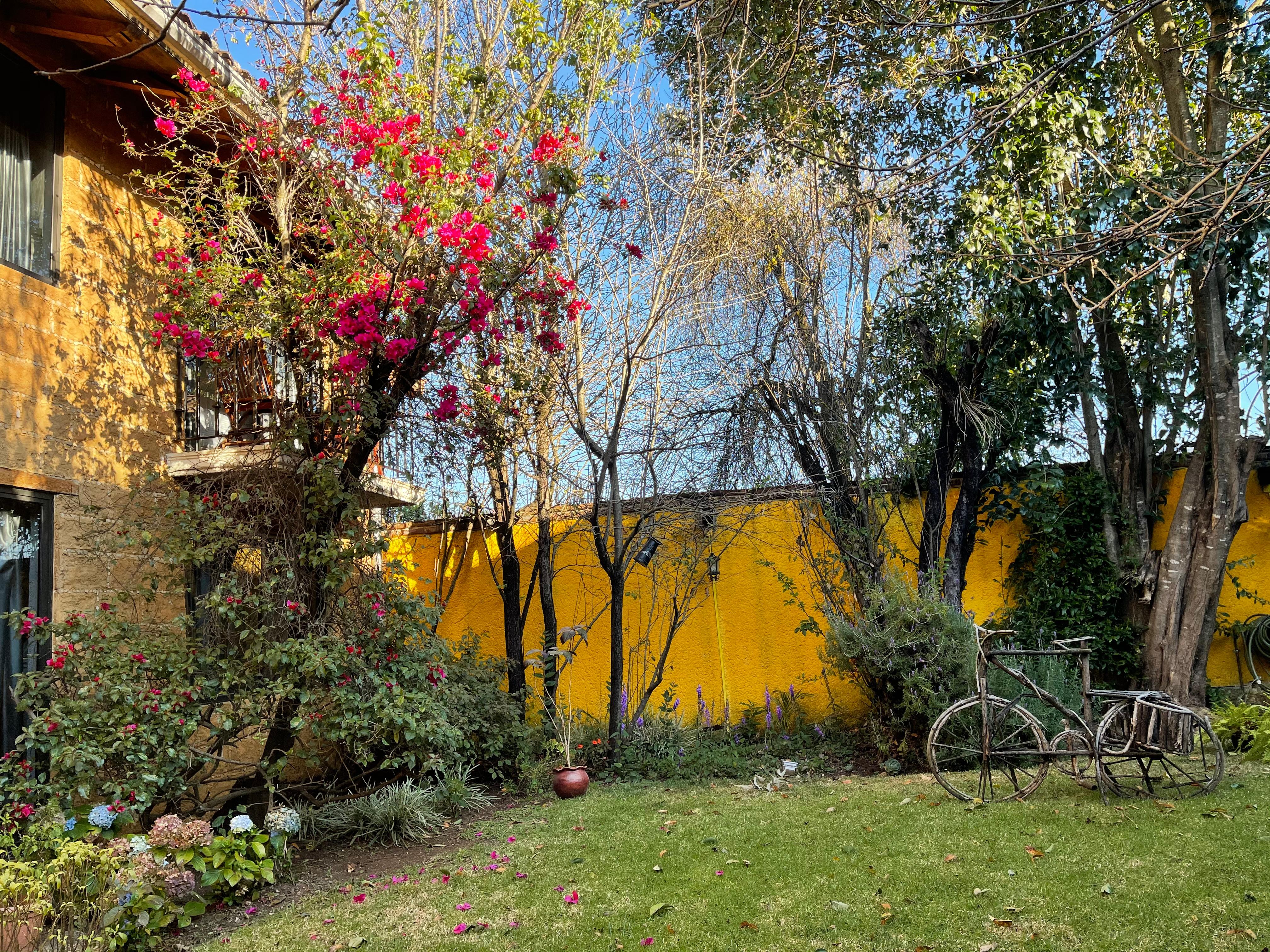 Hermoso jardín interior.