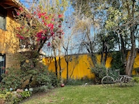 Hermoso jardín interior.