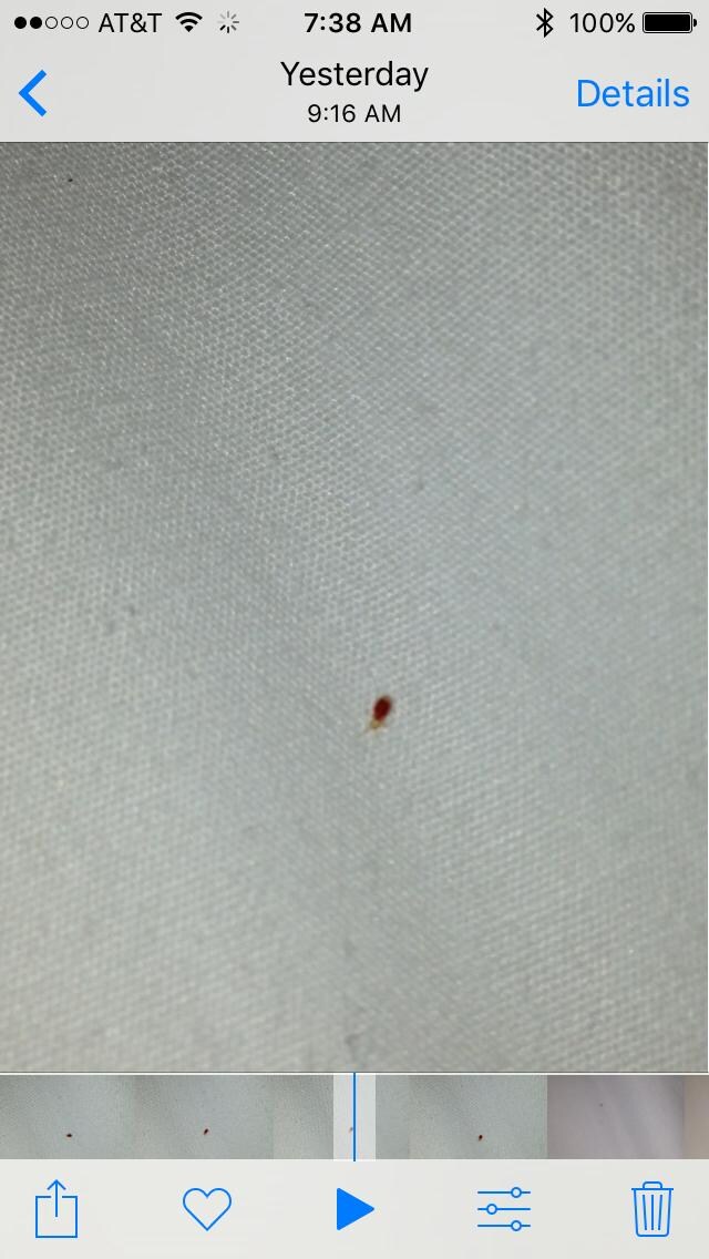 The other mattress had purple stains on it