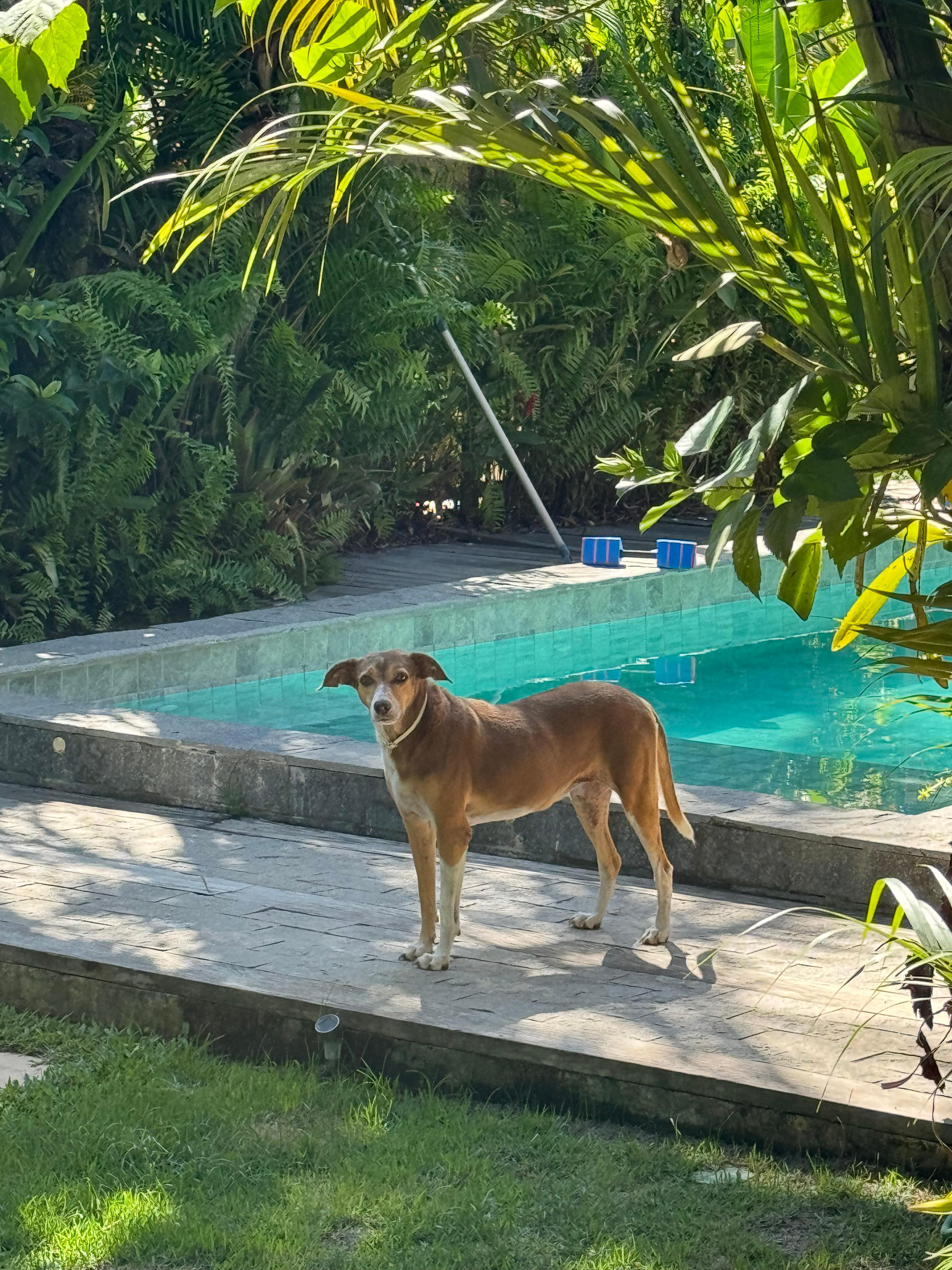 A Cacau cuidando de tudo sempre