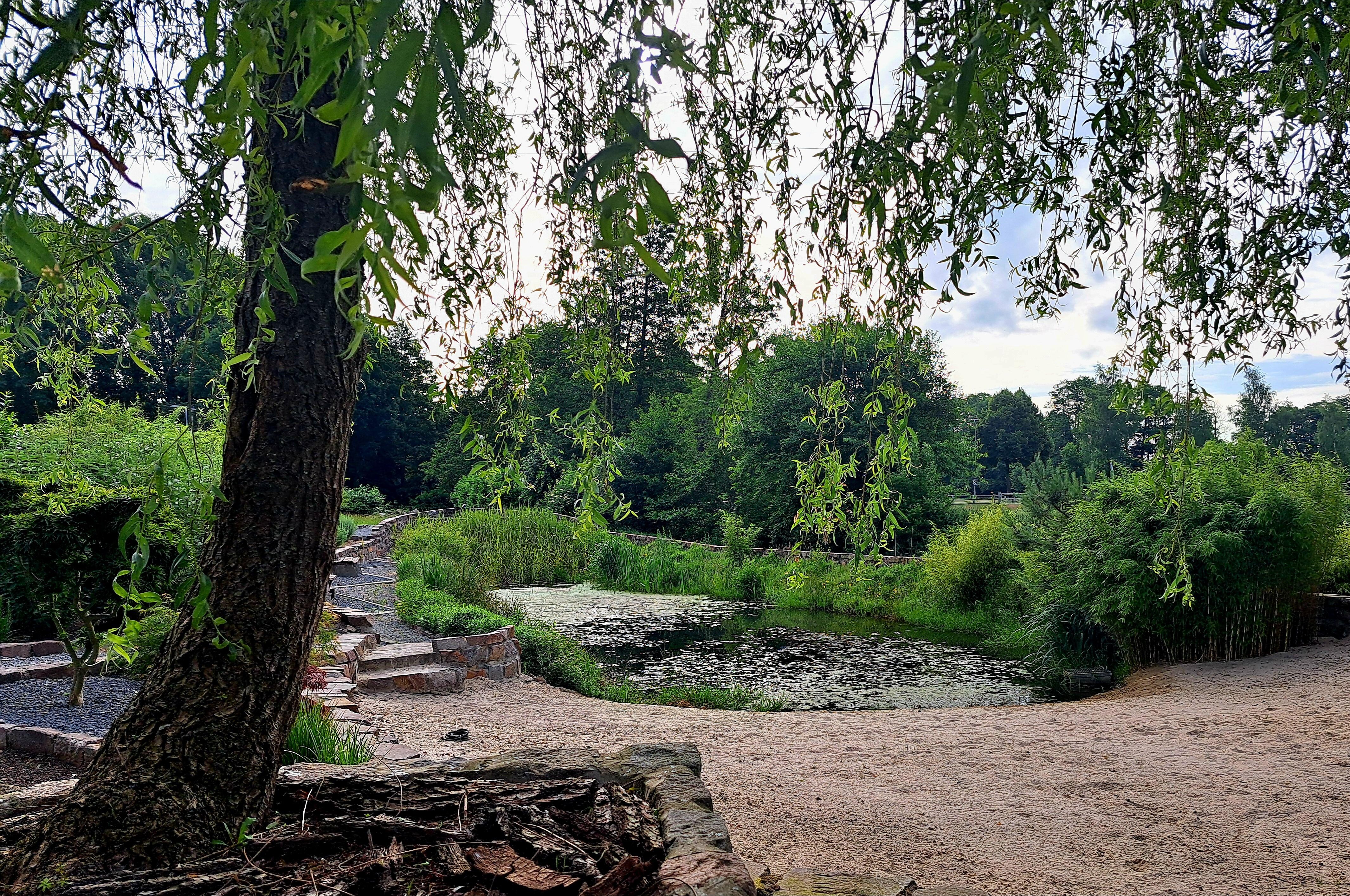 Hageanlegg med karpedam.