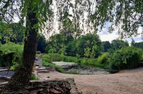 Hageanlegg med karpedam.