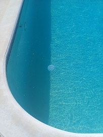 Debris floating in the pool.