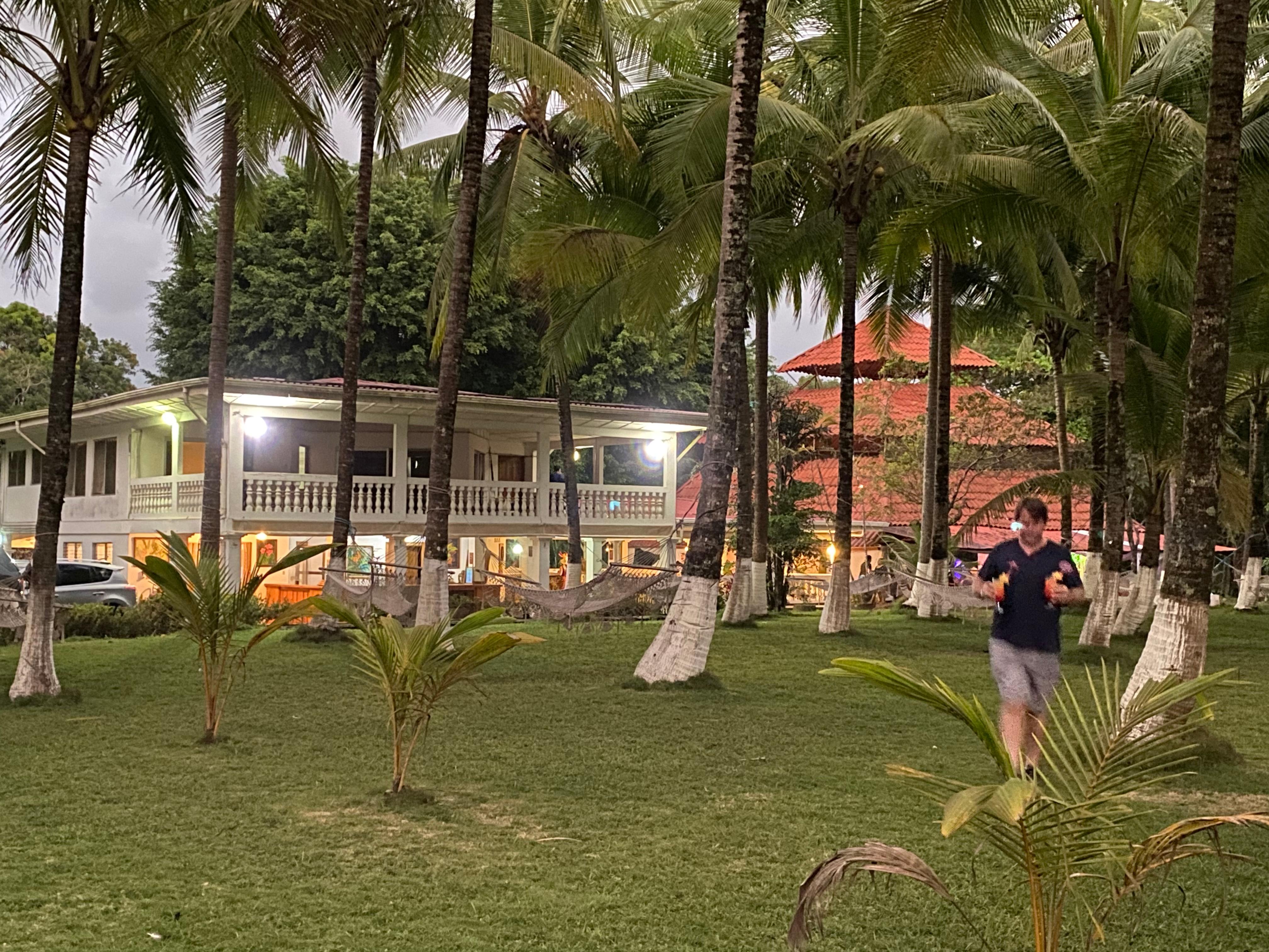 Coconut grove with hammocks 