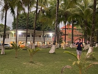 Coconut grove with hammocks