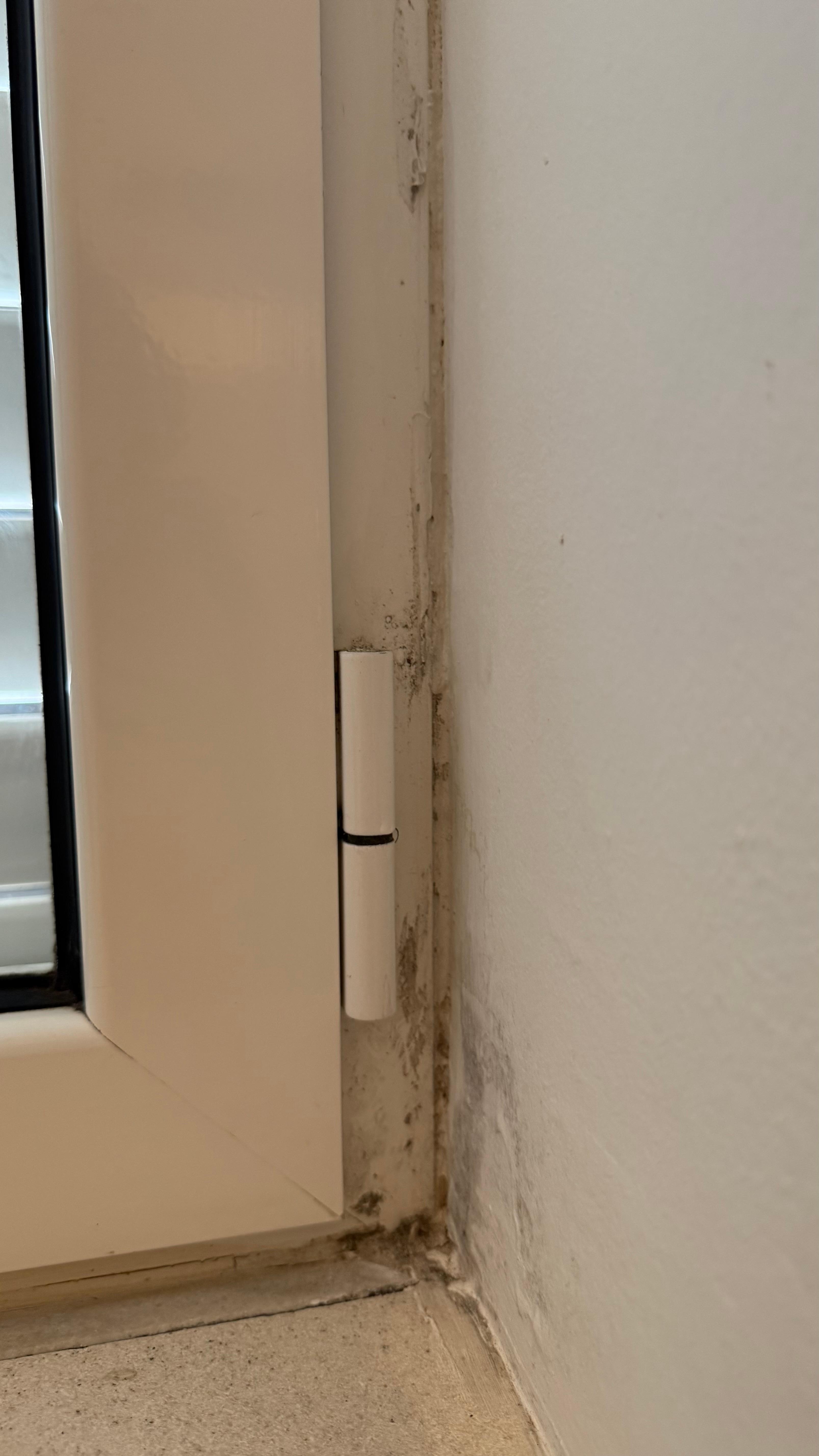 Mold