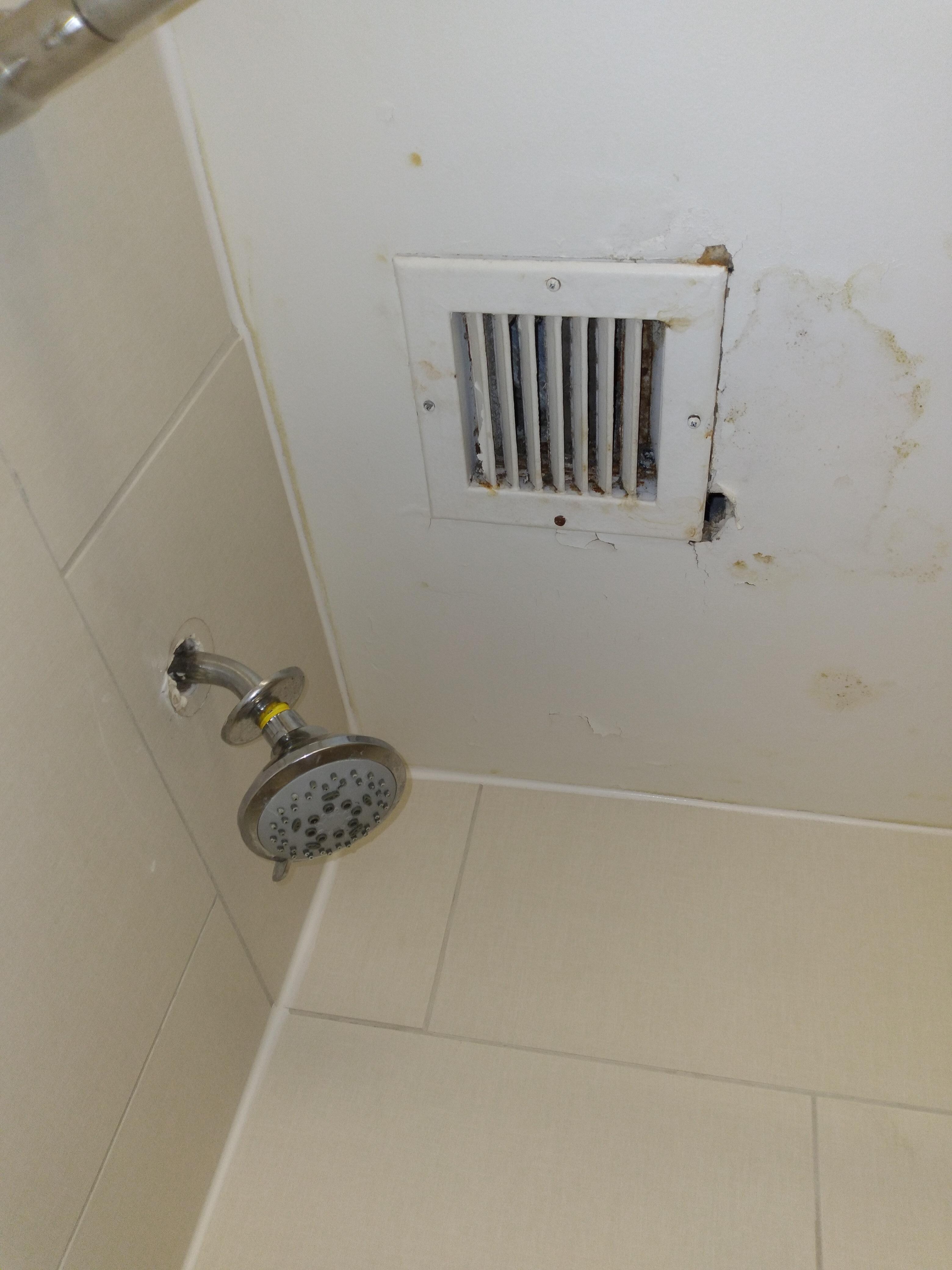 Shower head and vent