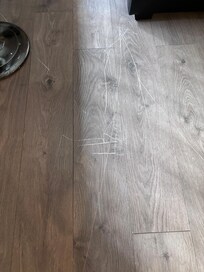 Parquet rayé