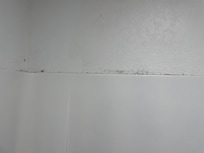Mold was all around top of f shower