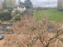 View from our room. Frost caught the Magnolia!