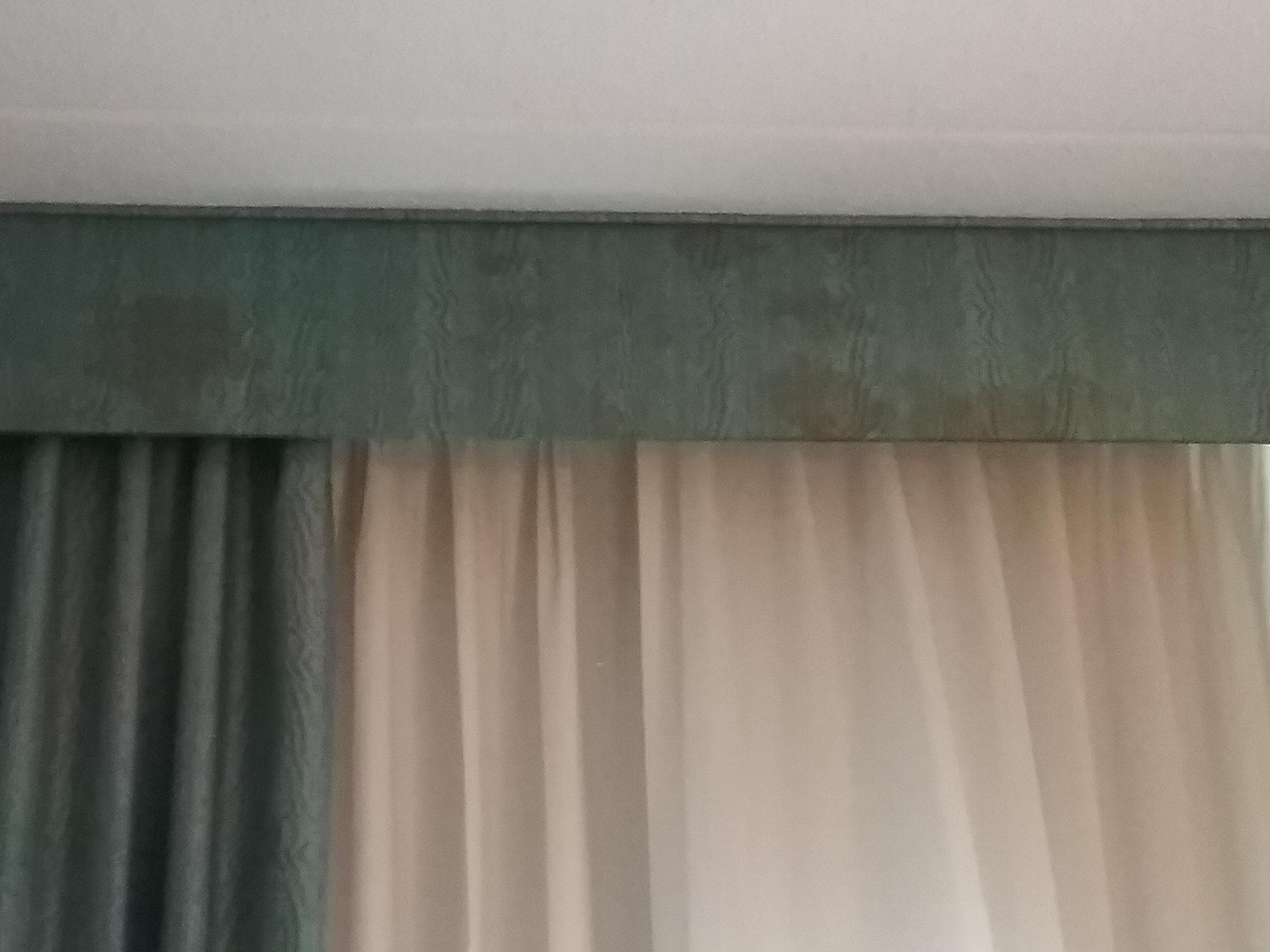 Spider nests