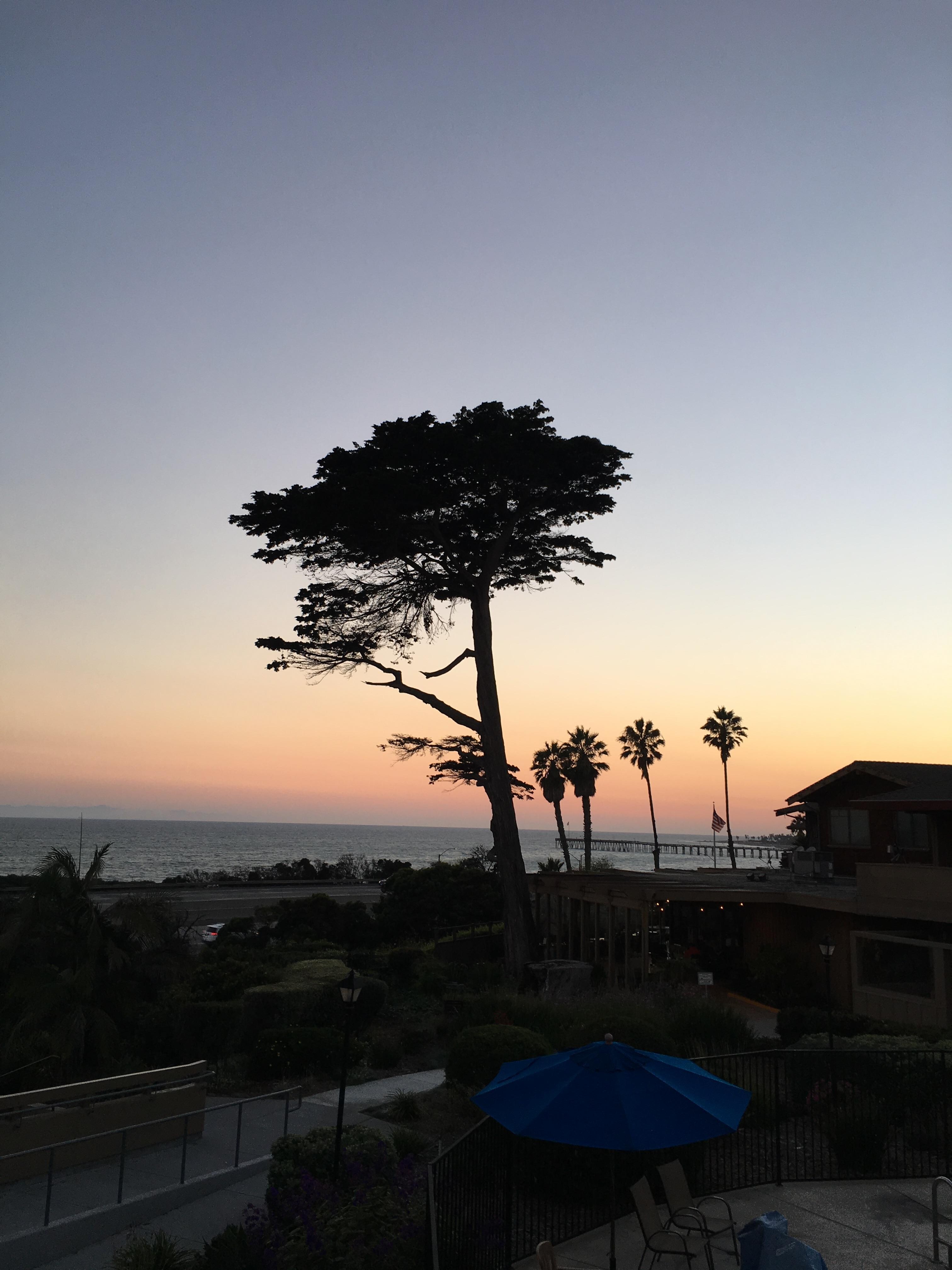 View from room 507