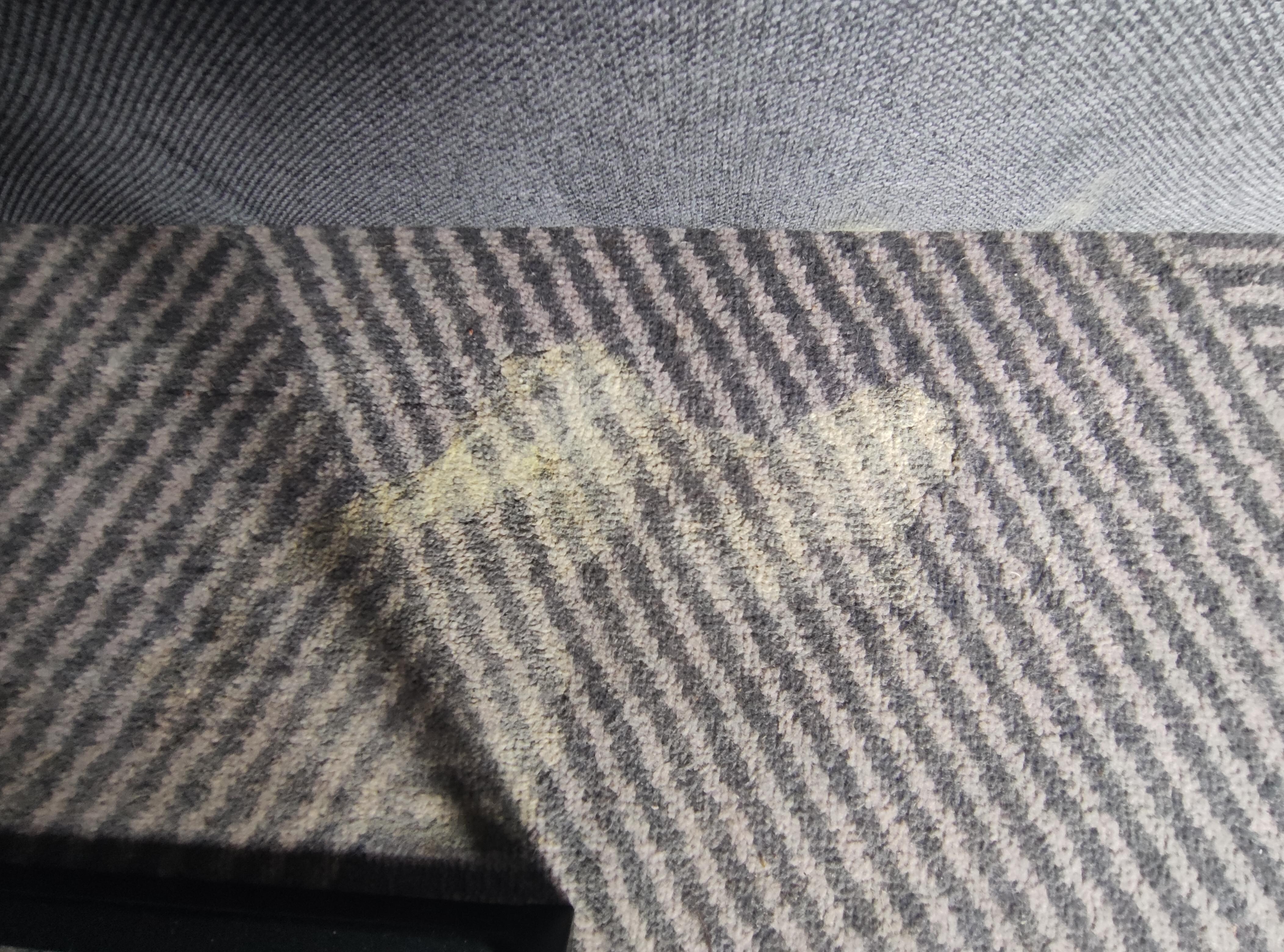 Puke stain next to bed 