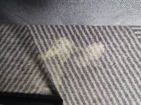 Puke stain next to bed