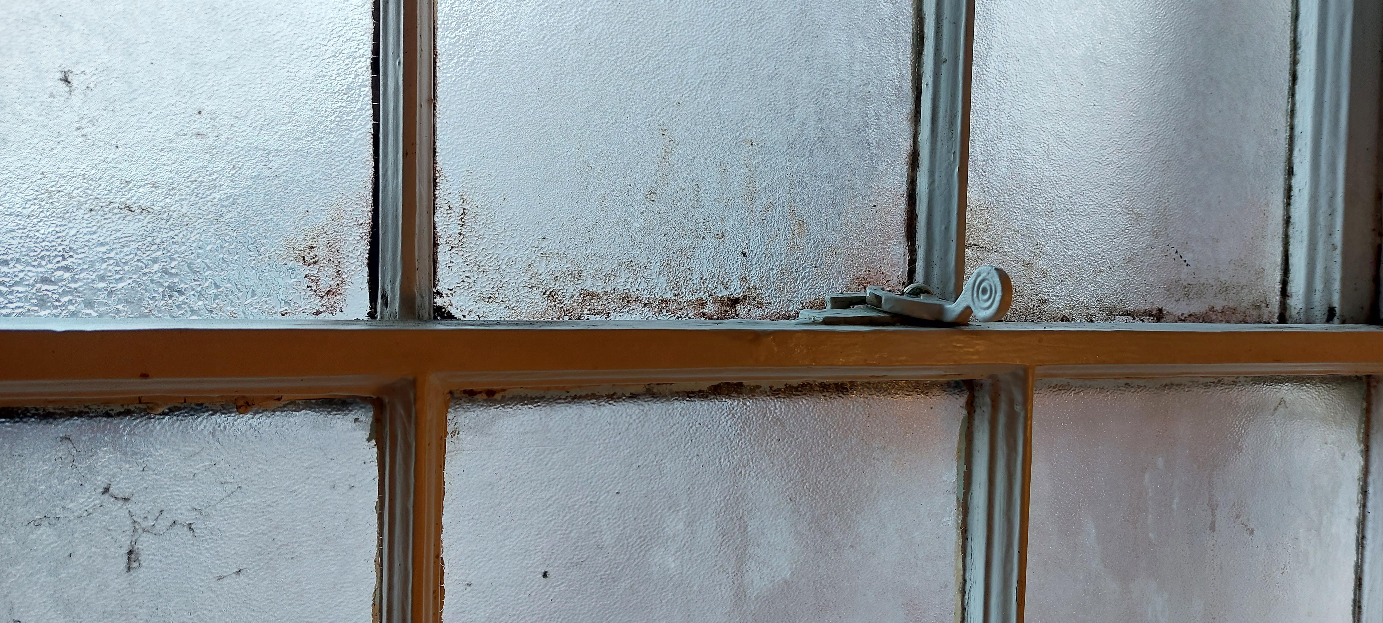 Bathroom Window