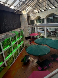Patio con techo para desayunar