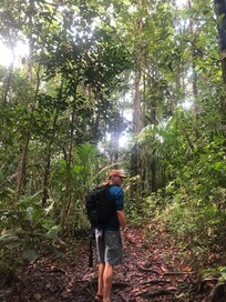 A walk into the Jungle