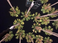 Looking up from the hot tub