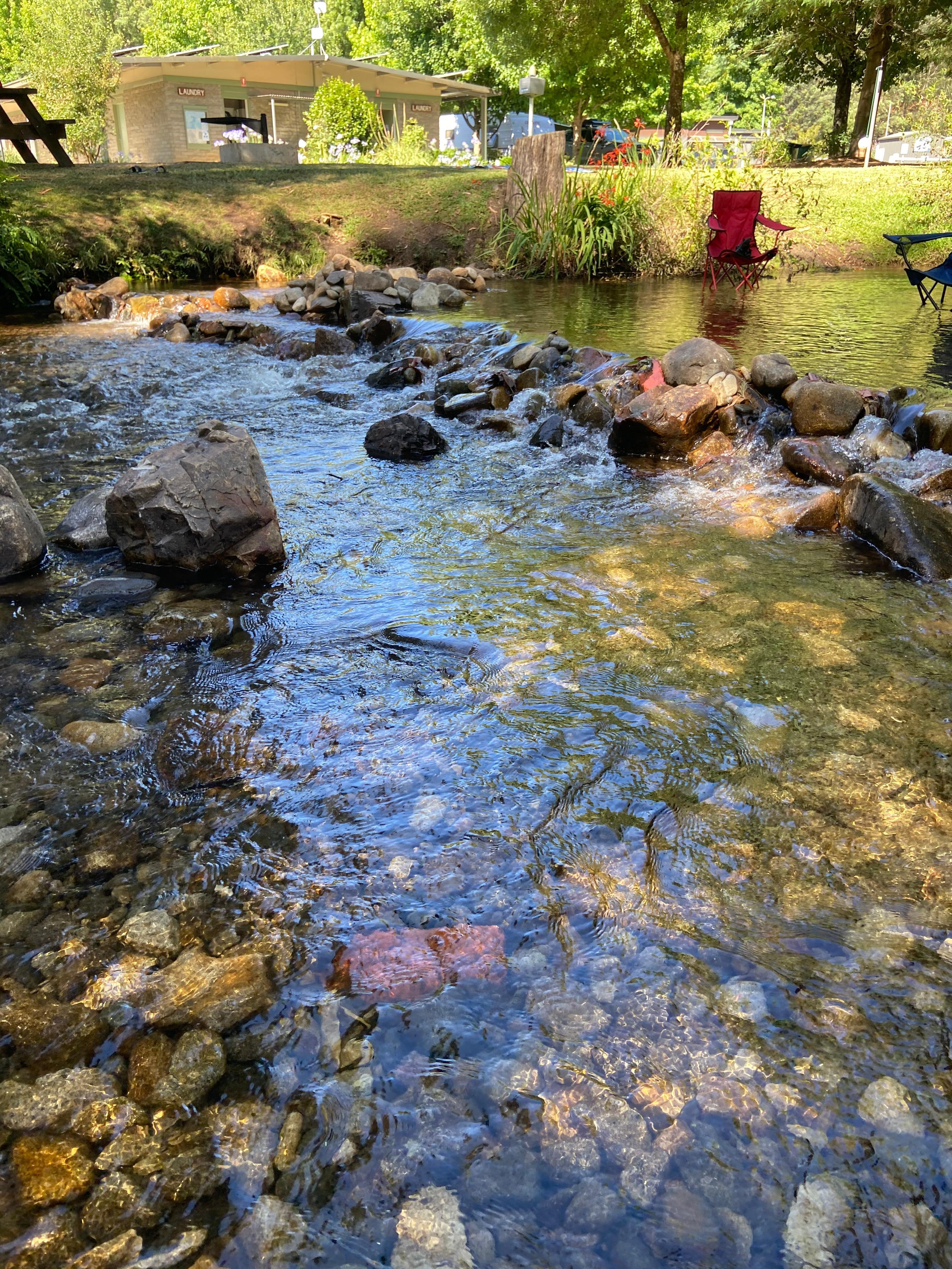 The creek flowing through the park